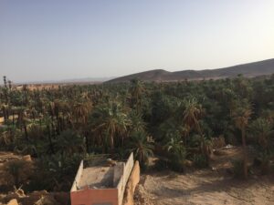 Vue sur l'oasis d'Assa Zag