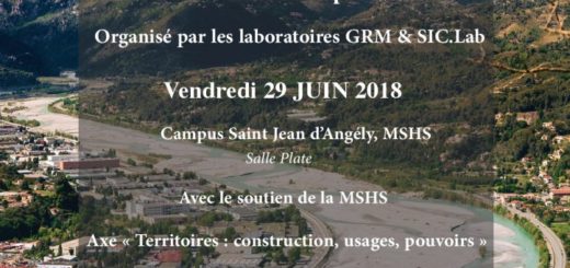 Pratiques collaboratives et réseaux d’acteurs dans les territoires