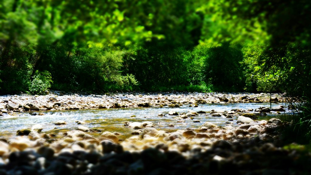 Transition Socio-Ecologique