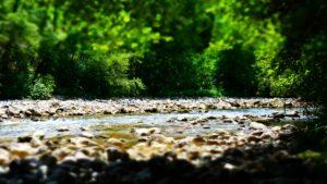 Transition Socio-Ecologique